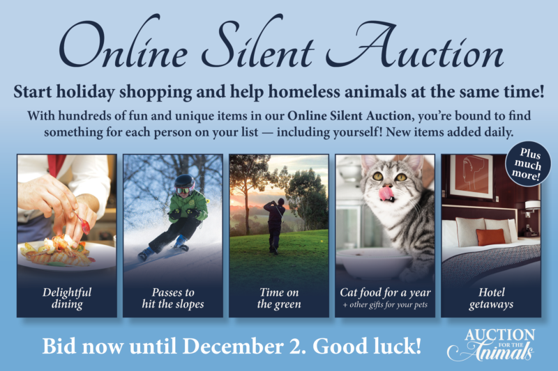 Auction for the Animals - NHSPCA