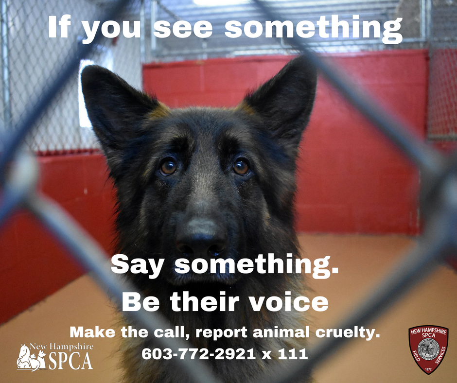 Animal Cruelty Awareness NHSPCA