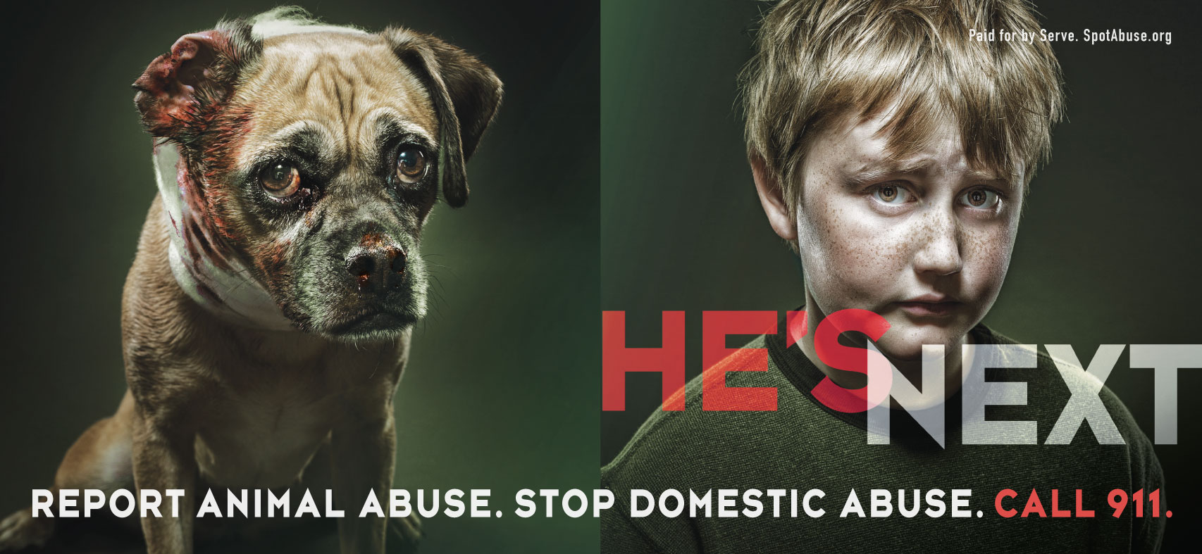 The Link Between Animal and Domestic Abuse - NHSPCA