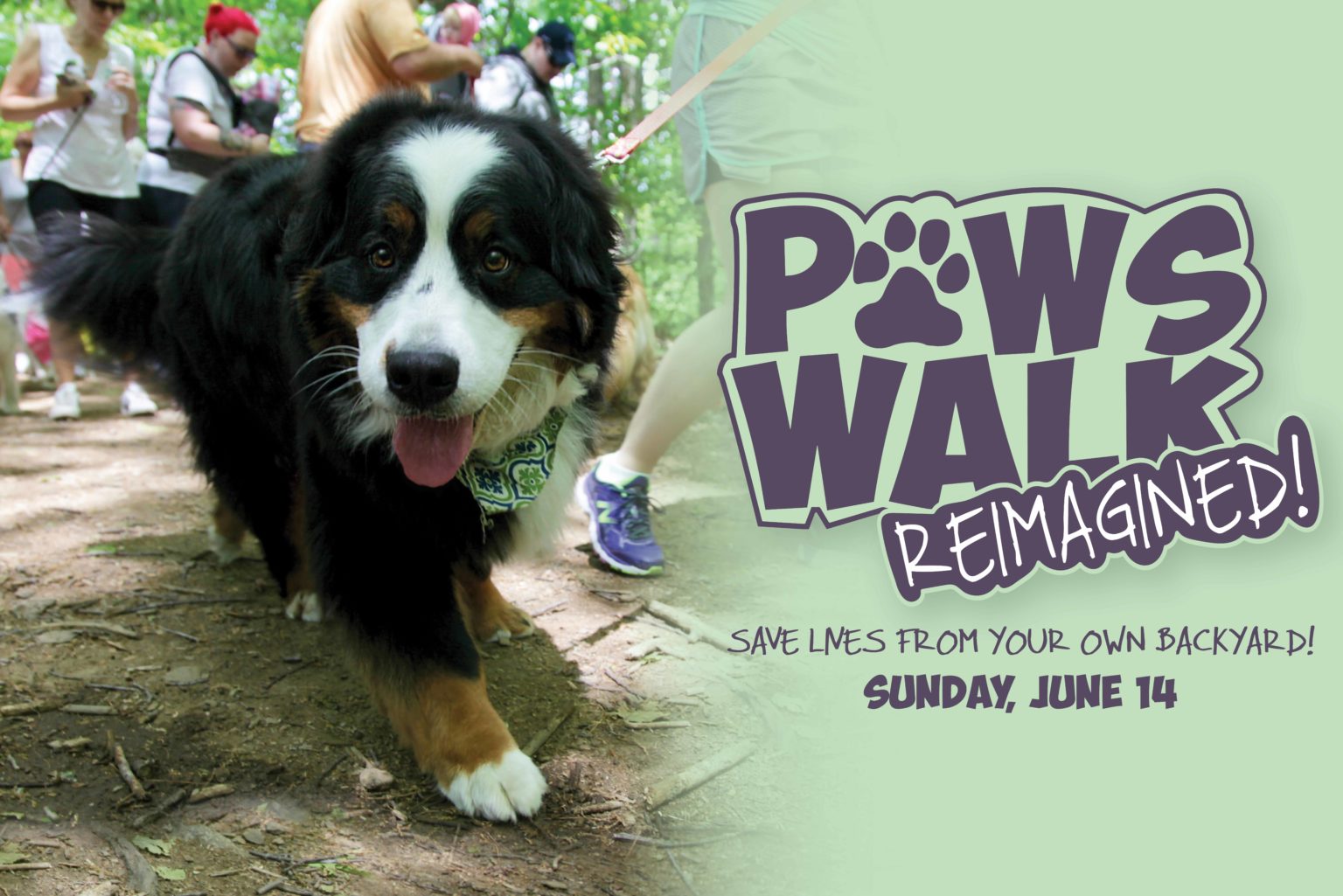 Paws Walk Reimagined! NHSPCA