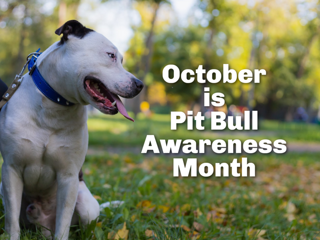 Pit Bull Awareness - NHSPCA