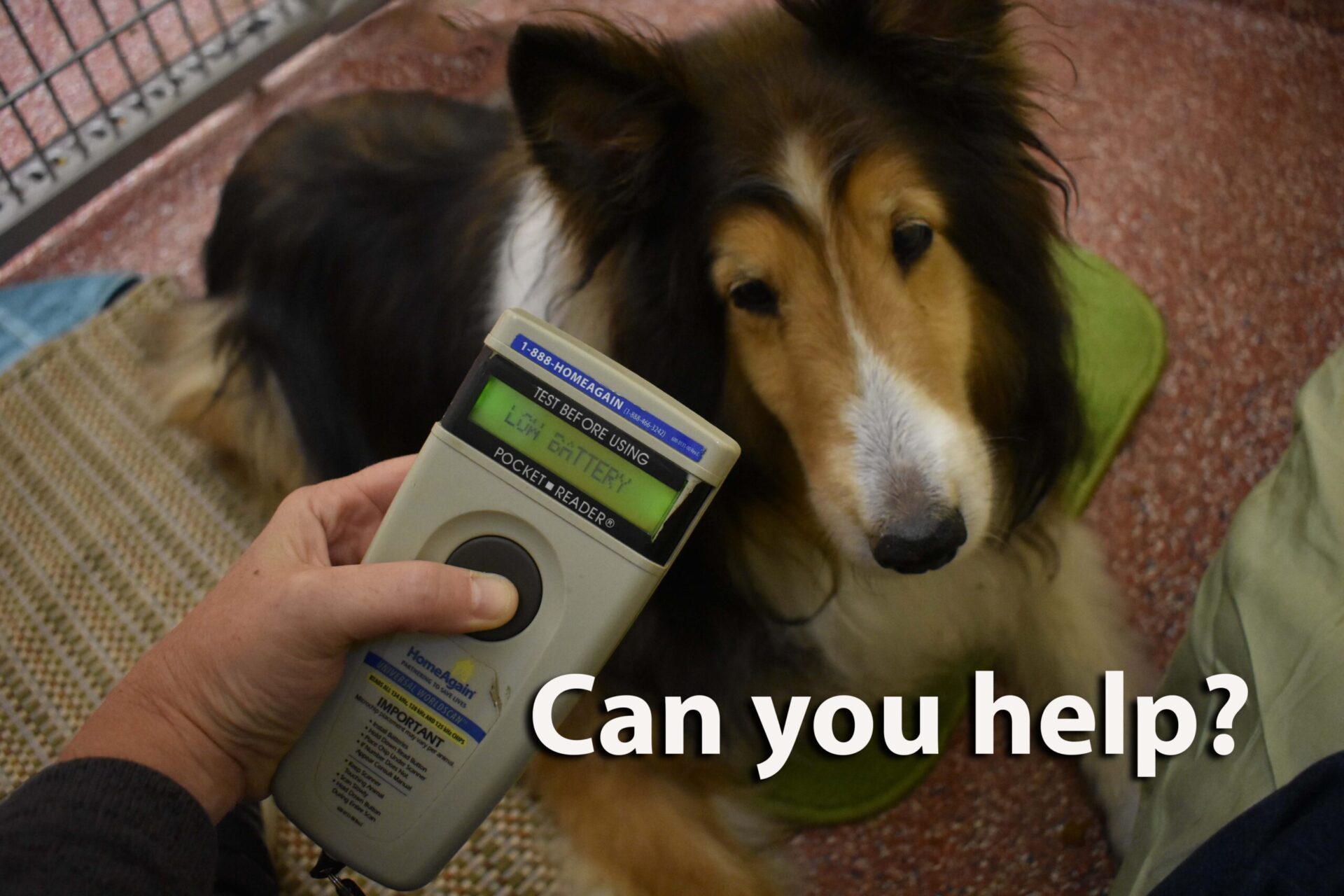 Can you help? Microchip Scanners Needed - NHSPCA